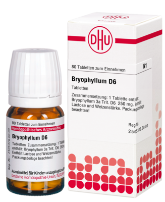 BRYOPHYLLUM D 6 Tabletten