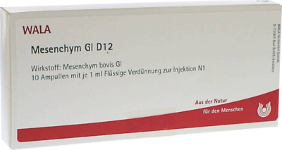 MESENCHYM GL D 12 Ampullen