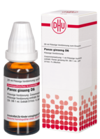 PANAX GINSENG D 6 Dilution