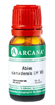 ABIES CANADENSIS LM 6 Dilution