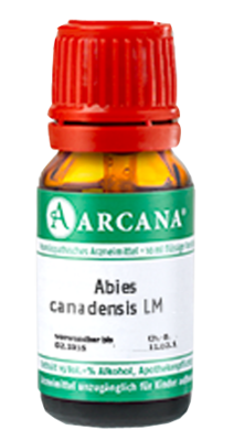 ABIES CANADENSIS LM 16 Dilution