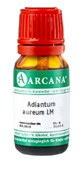 ADIANTUM AUREUM LM 22 Dilution