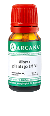 ALISMA plantago LM 6 Dilution