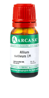 ALLIUM SATIVUM LM 36 Dilution